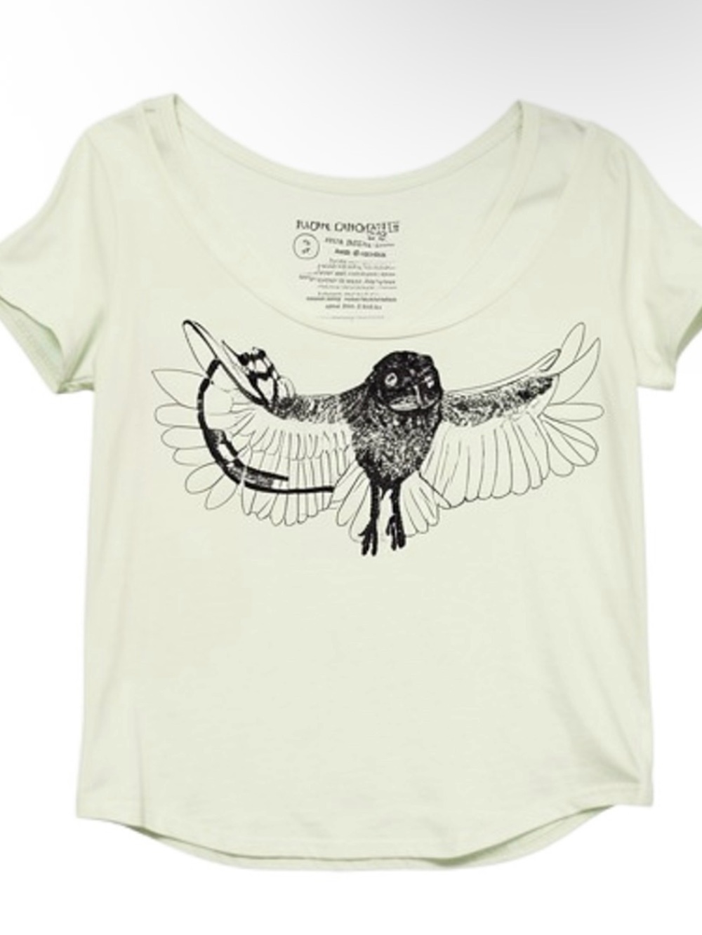 Owl Graphic Tee - light green Short Sleeve Shirt